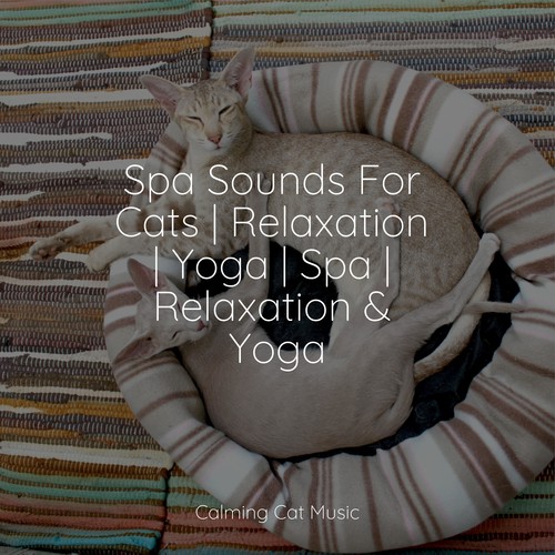 Spa Sounds For Cats | Relaxation | Yoga | Spa | Relaxation & Yoga