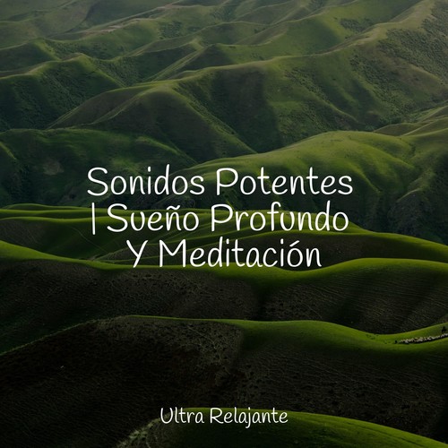 Sonidos Potentes | Sueño Profundo Y Meditación