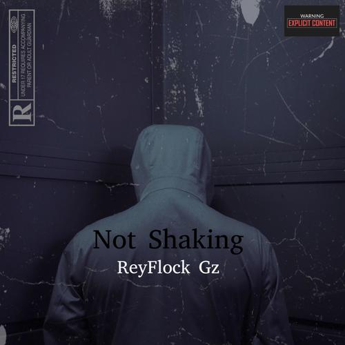 Not Shaking (feat. Mula Gzz, Bory 300, Dougie B & Kay Flocka) [Explicit]