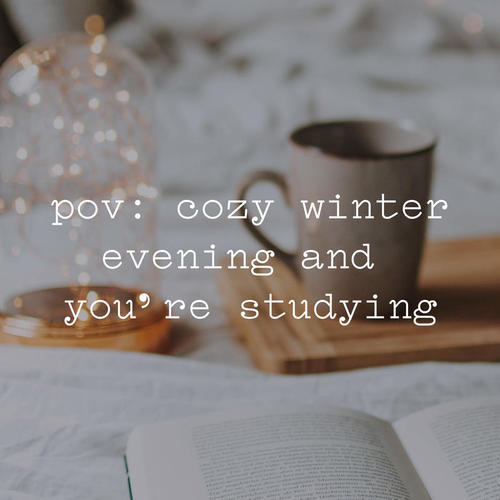 pov: cozy winter evening and you’re studying (Explicit)