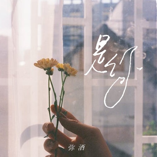 “是你让我触摸奇迹”