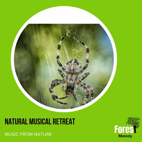 Natural Musical Retreat - Music from Nature
