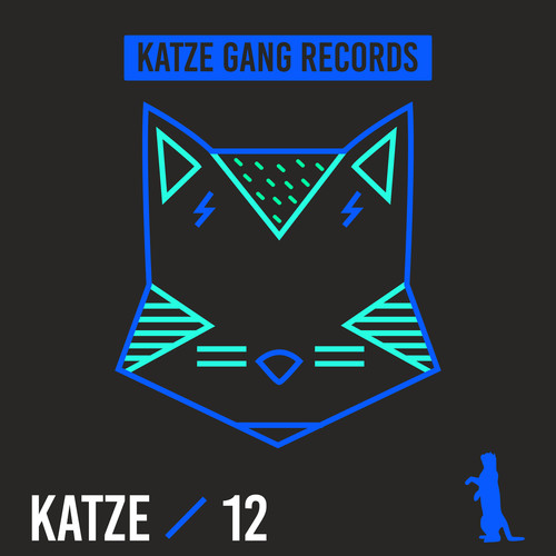 Katze 12