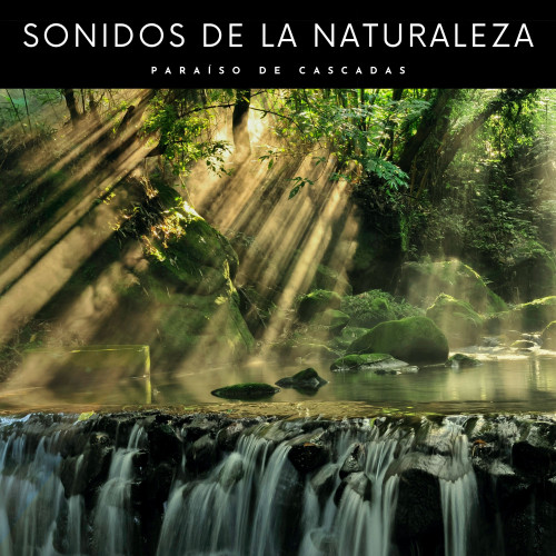 Sonidos De La Naturaleza: Paraíso De Cascadas