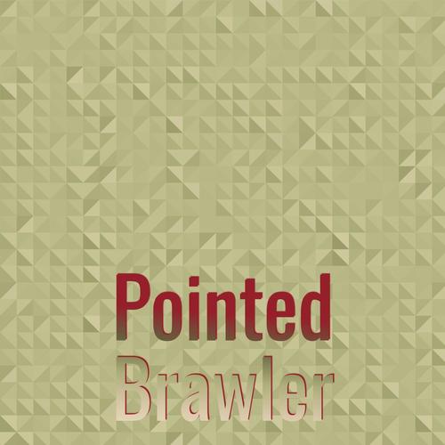 Pointed Brawler