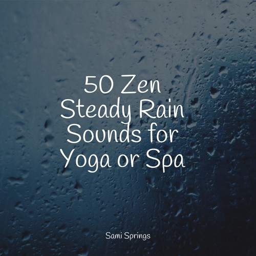 50 Zen Steady Rain Sounds for Yoga or Spa