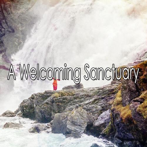 A Welcoming Sanctuary