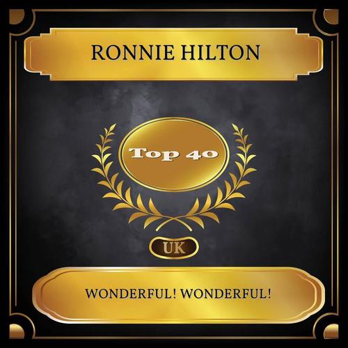 Wonderful! Wonderful! (UK Chart Top 40 - No. 27)