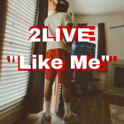 Like Me (Explicit)