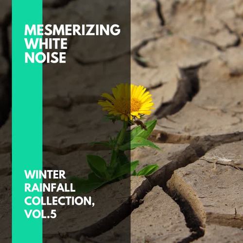 Mesmerizing White Noise - Winter Rainfall Collection, Vol.5