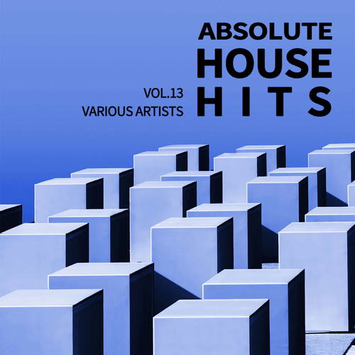 Various Artists - Absolute House Hits Vol.13