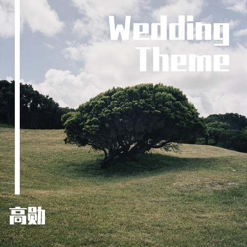 Wedding Theme