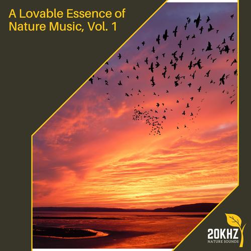 A Lovable Essence of Nature Music, Vol. 1