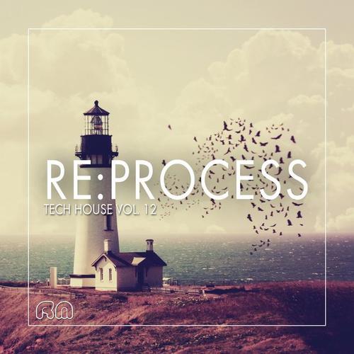 Re:Process - Tech House, Vol. 12