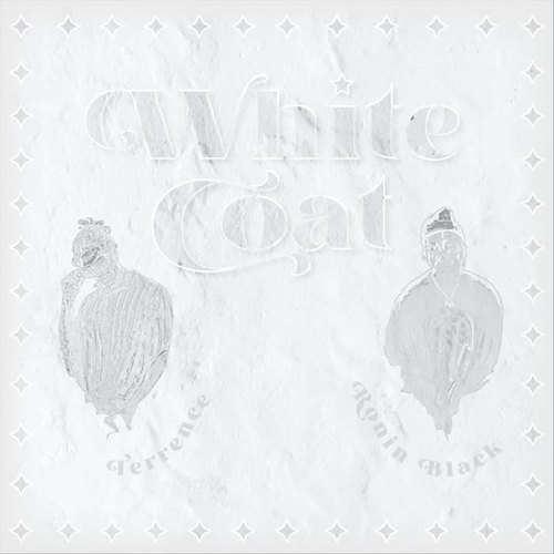 White Coat (feat. Ronin Black) [Explicit]