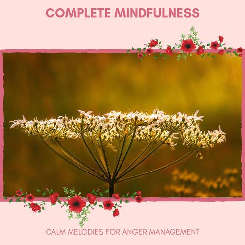 Complete Mindfulness - Calm Melodies For Anger Management