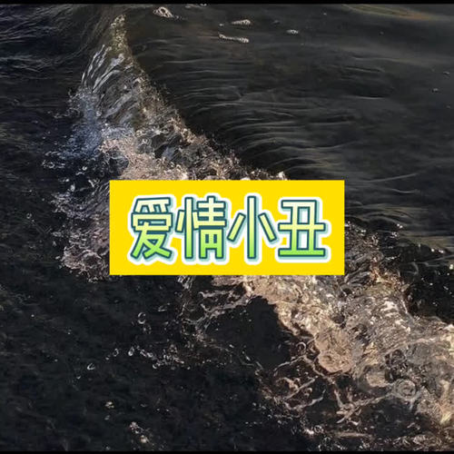 爱情小丑