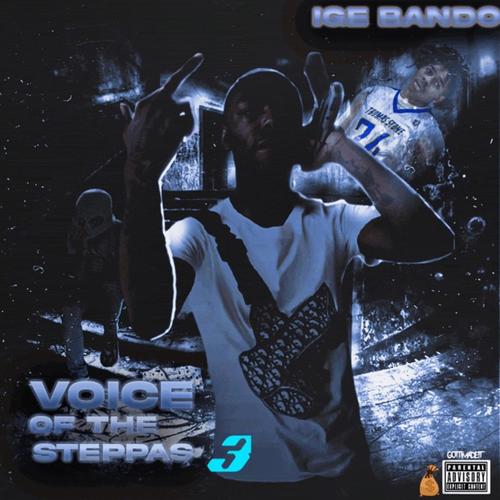 Voice Of The Steppas 3 (Explicit)