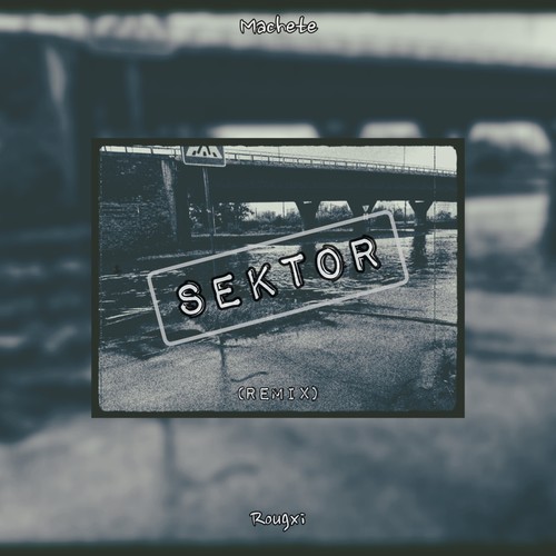 Sektor (Remix)