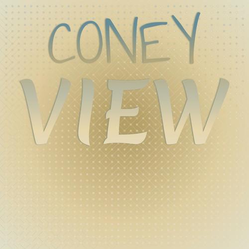 Coney View