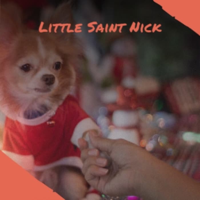 Little Saint Nick