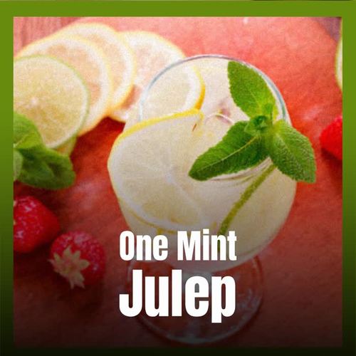 One Mint Julep