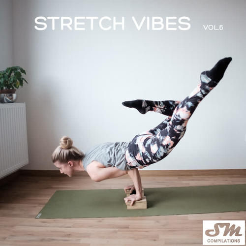 Stretch Vibes, Vol. 6