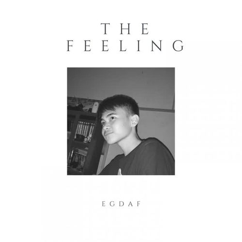 The Feeling