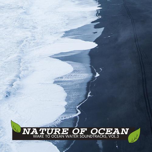 Nature of Ocean - Wake to Ocean Water Soundtracks, Vol.3