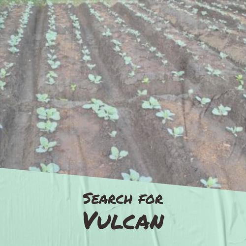 Search for Vulcan