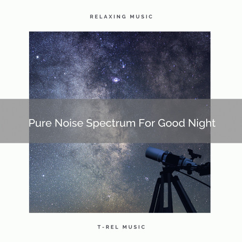 Pure Noise Spectrum For Good Night