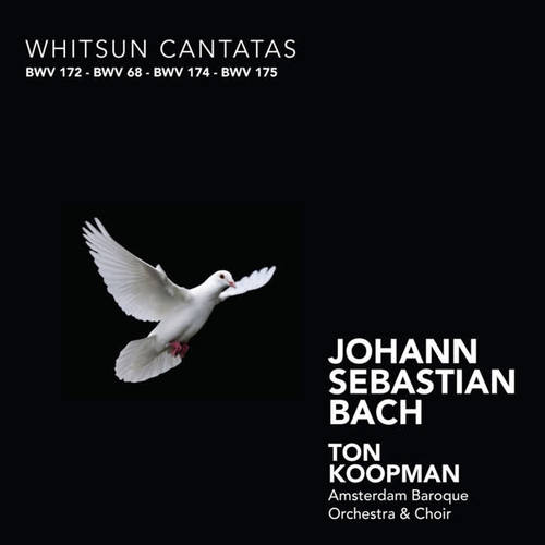 Bach: Whitsun Cantatas