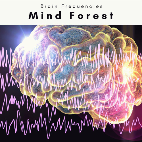 Mind Forest