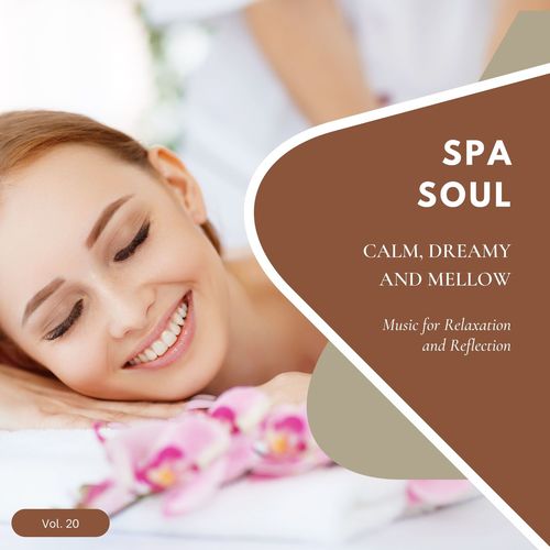 Spa Soul - Calm, Dreamy And Mellow Music For Relaxation And Reflextion, Vol. 20