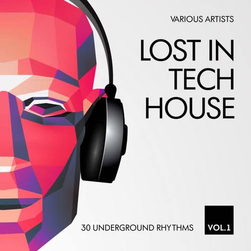 Lost In Tech House (30 Underground Rhythms) , Vol. 1