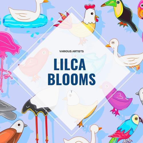 Lilca Blooms