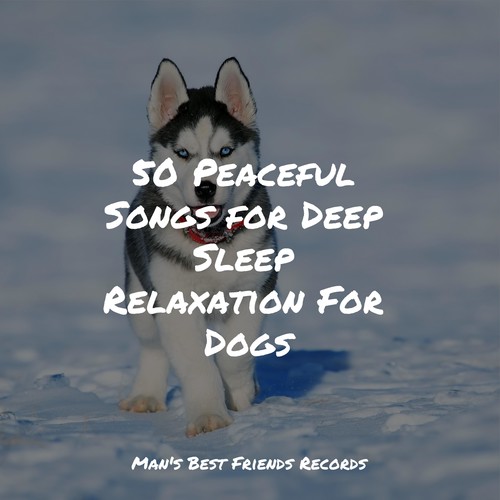 50 Peaceful Songs for Deep Sleep Relaxation For Dogs