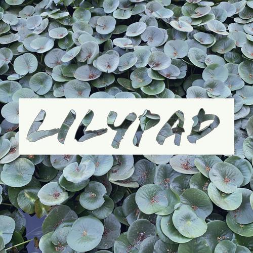 Lilypad