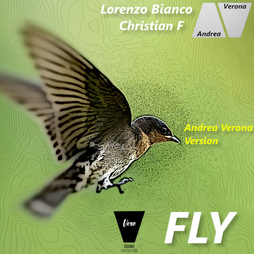 Fly