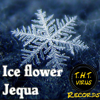 Ice Flower