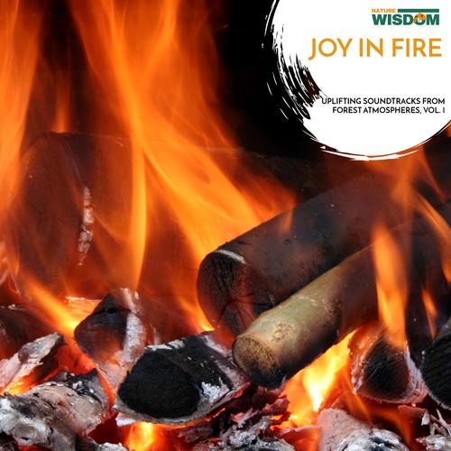 Joy in Fire - Uplifting Soundtracks from Forest Atmospheres, Vol. 1