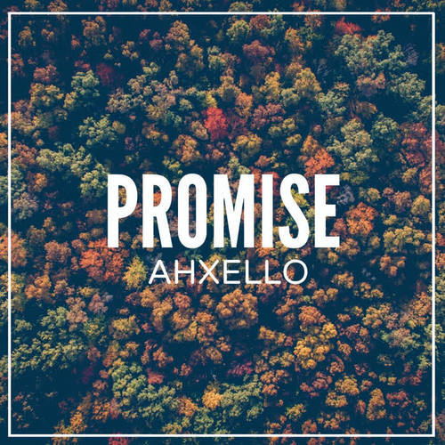 Promise