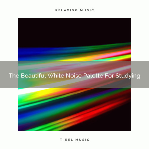 The Beautiful White Noise Palette For Studying