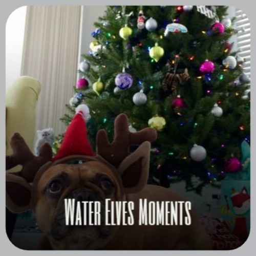 Water Elves Moments (Explicit)