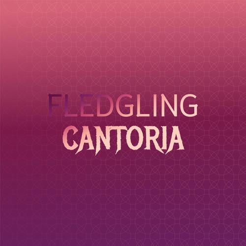 Fledgling Cantoria