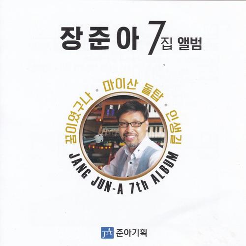 장준아 7집 (꿈이였구나/마이산돌탑/인생길)