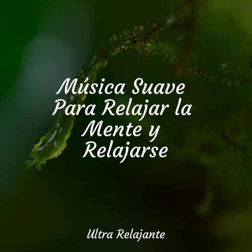 Música Suave Para Relajar la Mente y Relajarse