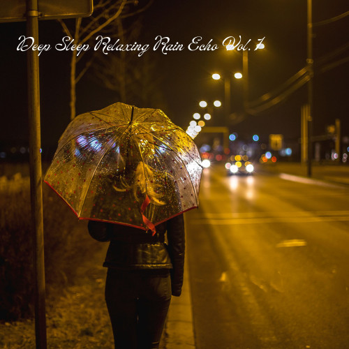 Deep Sleep Relaxing Rain Echo Vol. 1