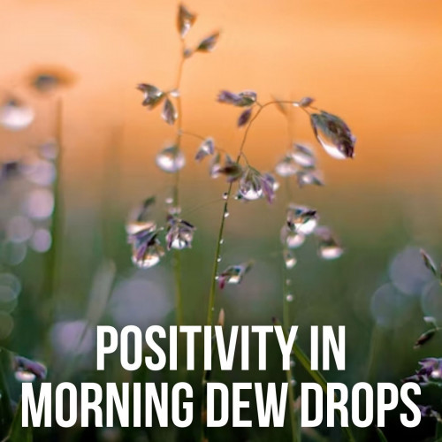 Positivity in Morning Dew Drops