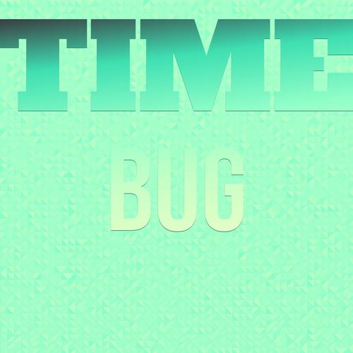 Time Bug